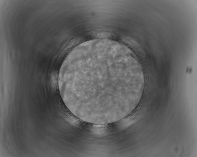 X0000098000240200804211139