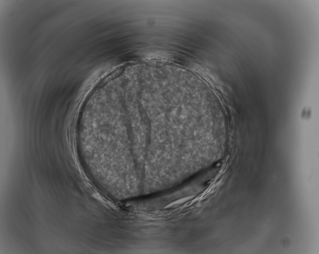 X0000098000241200804211139