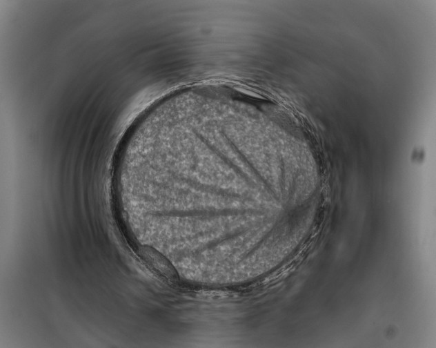 X0000098000242200804211139