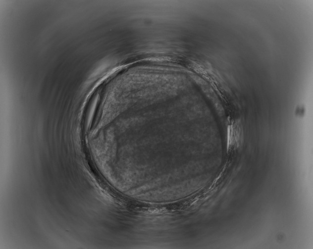 X0000098000243200804211139