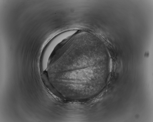 X0000098000244200804211139