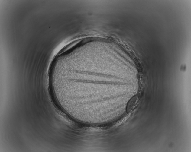 X0000098000246200804211139