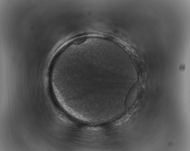 X0000098000247200804211139