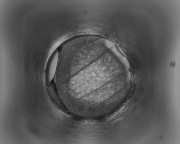 X0000098000248200804211139