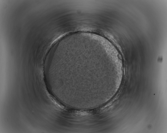 X0000098000249200804211139