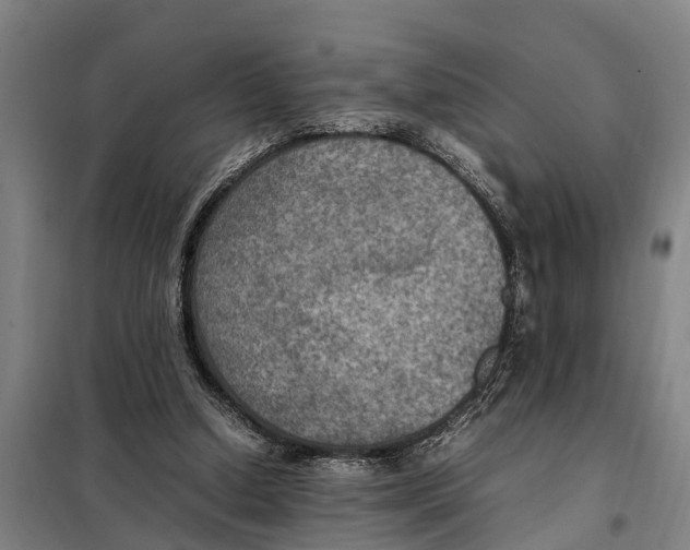 X0000098000250200804211139