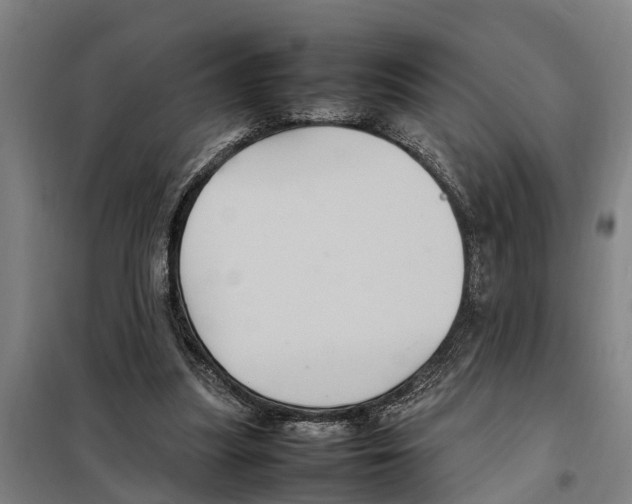 X0000098000251200804211139