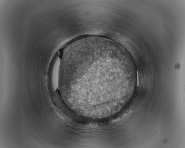 X0000098000252200804211139