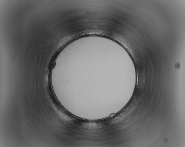 X0000098000253200804211139