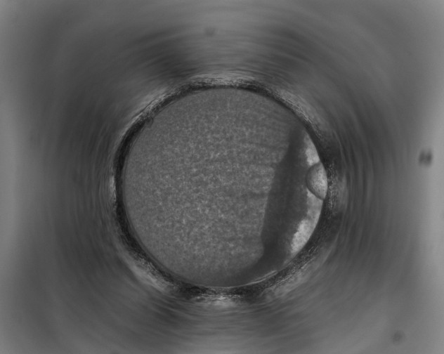 X0000098000254200804211139