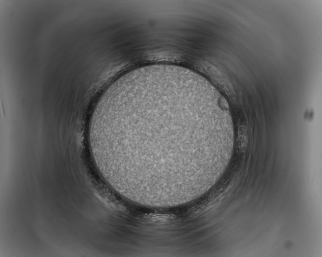 X0000098000255200804211139