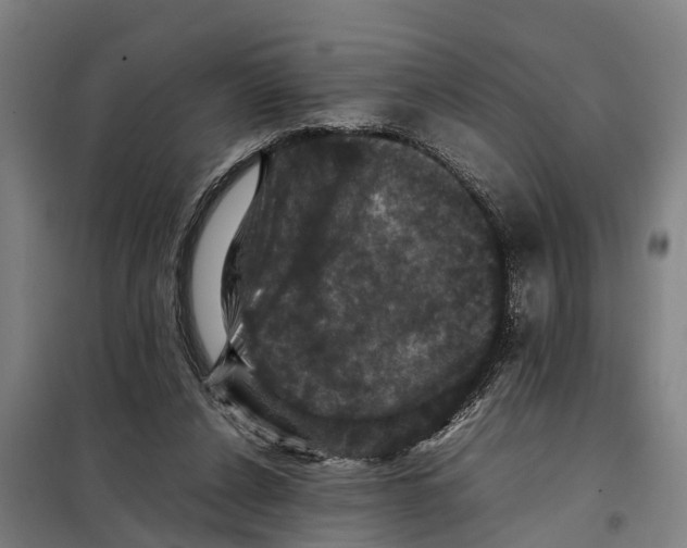 X0000098000256200804211139