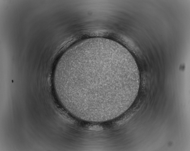 X0000098000258200804211139