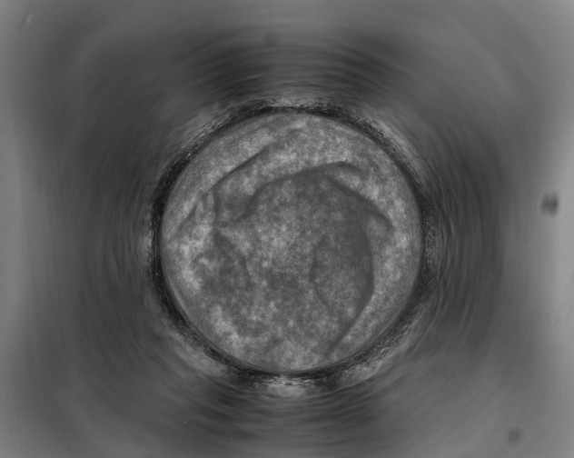 X0000098000261200804211139