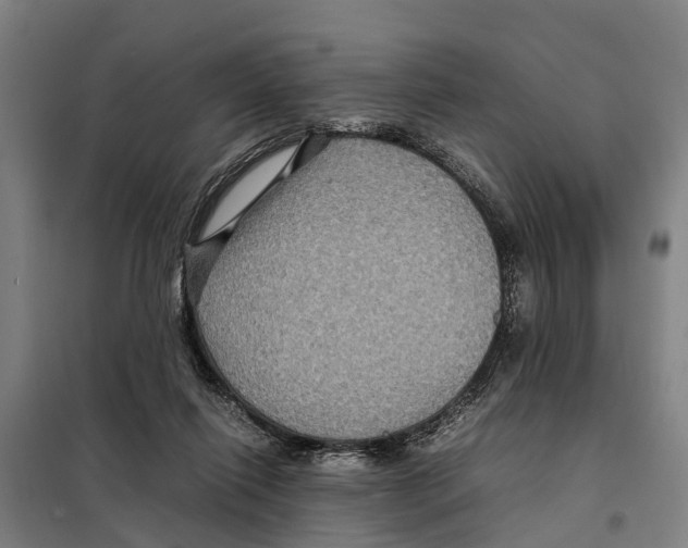 X0000098000262200804211139