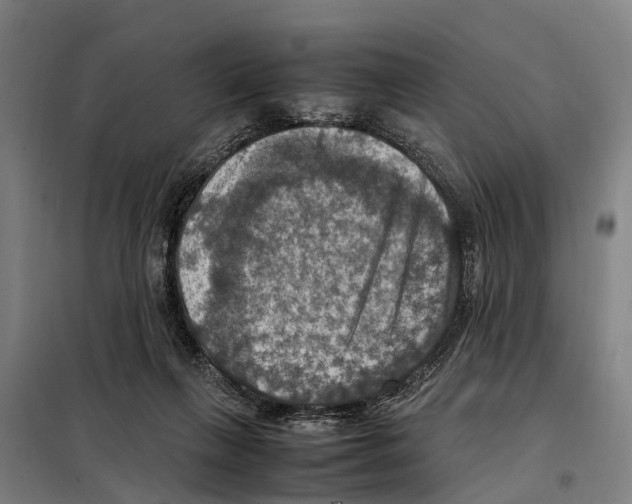X0000098000263200804211139