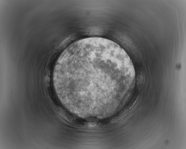 X0000098000264200804211139