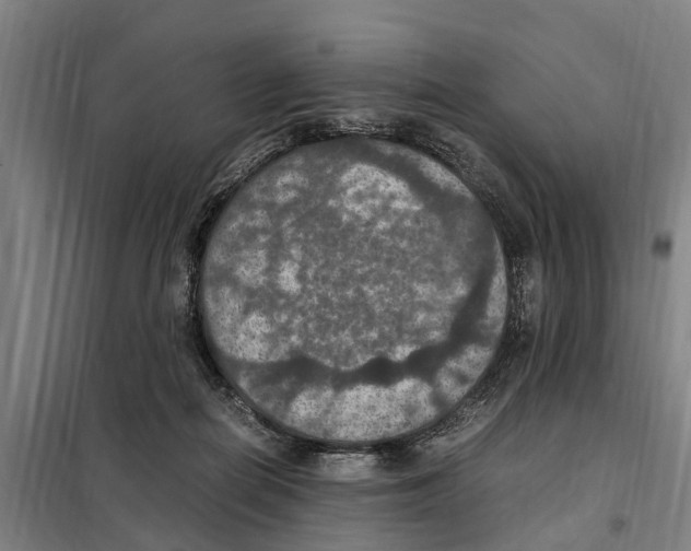 X0000098000266200804211139