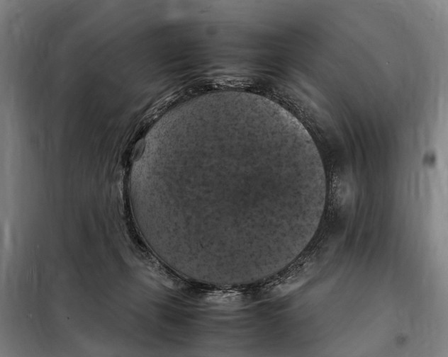X0000098000271200804211139