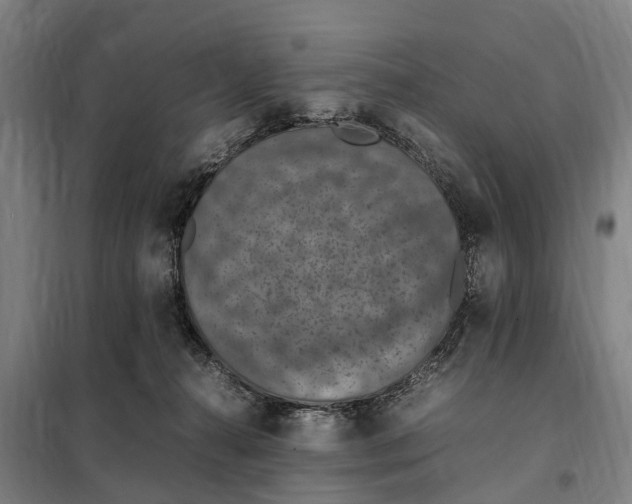 X0000098000272200804211139