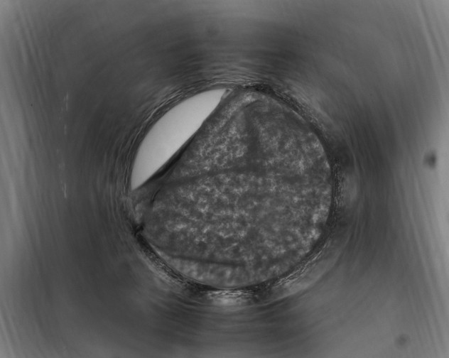 X0000098000273200804211139