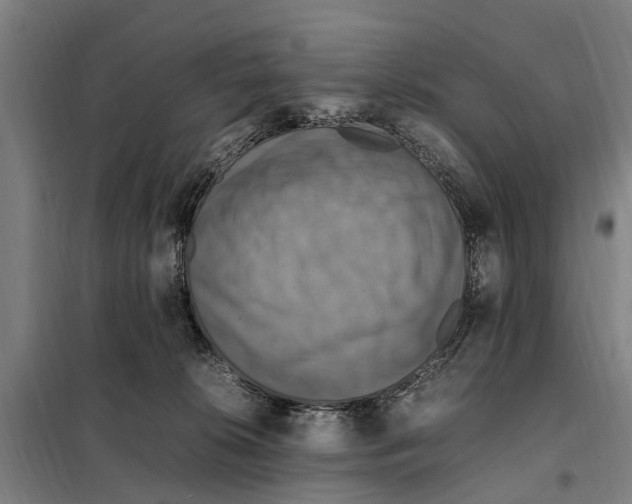 X0000098000276200804211139