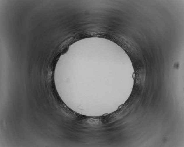 X0000098000279200804211139
