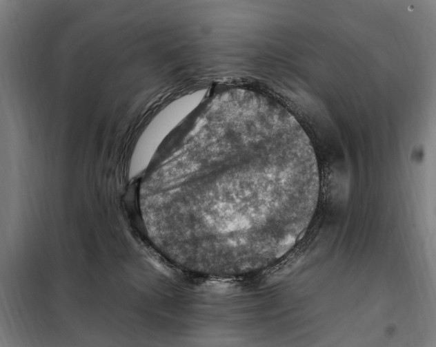 X0000098000280200804211139
