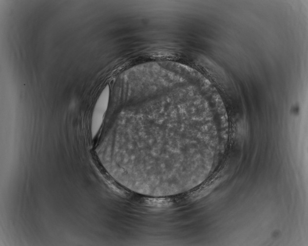 X0000098000281200804211139