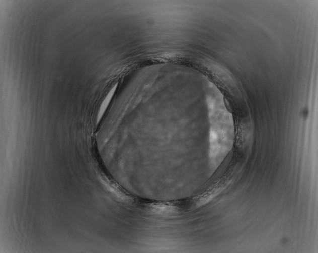 X0000098000284200804211139