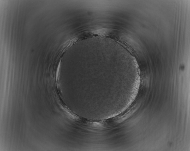 X0000098000285200804211139