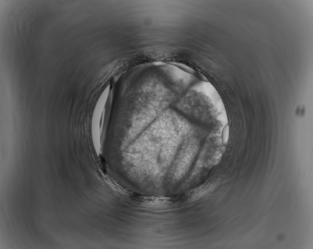 X0000098000288200804211139