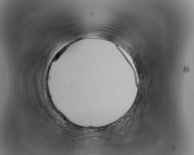 X0000098000289200804211139
