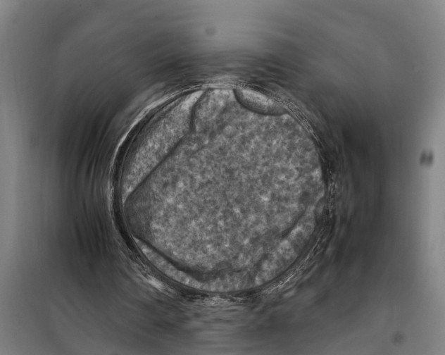 X0000098000290200804211139