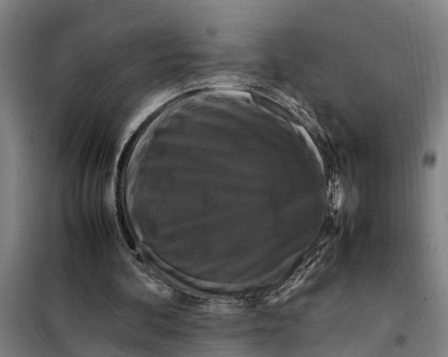 X0000098000292200804211139