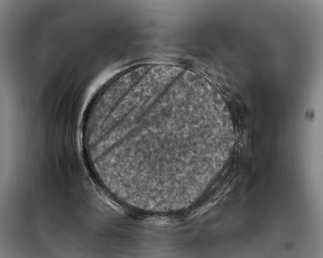 X0000098000294200804211139