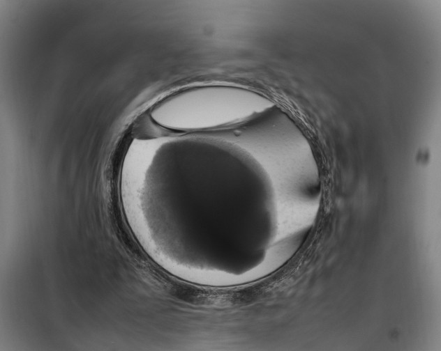 X0000098000295200804211139