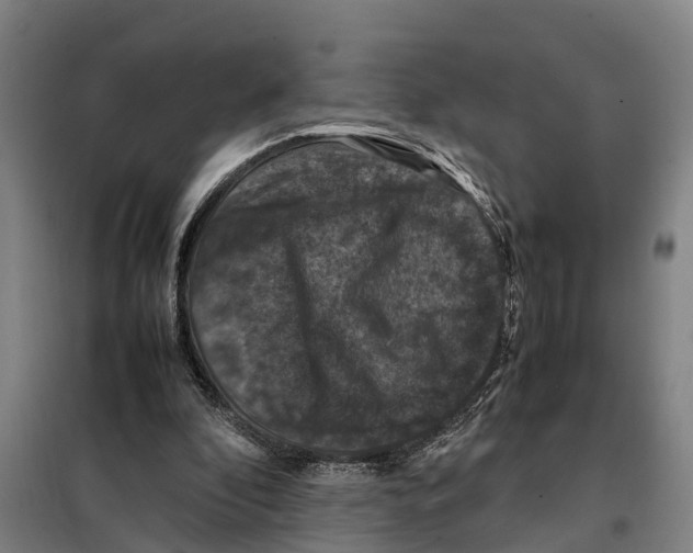 X0000098000296200804211139