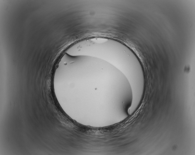 X0000098000297200804211138