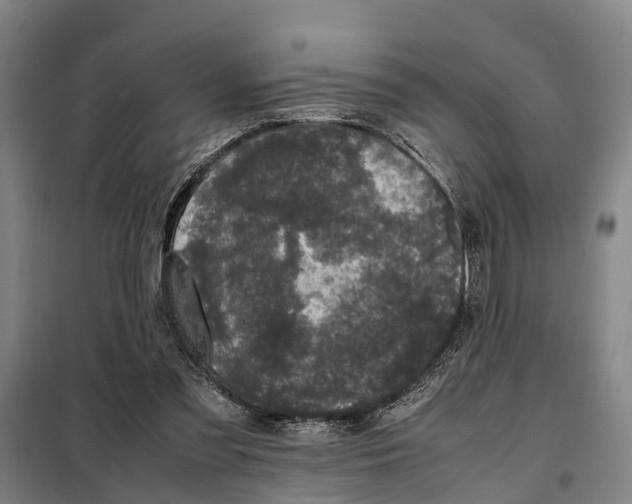 X0000098000301200804211138