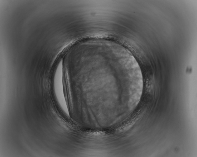 X0000098000304200804211138
