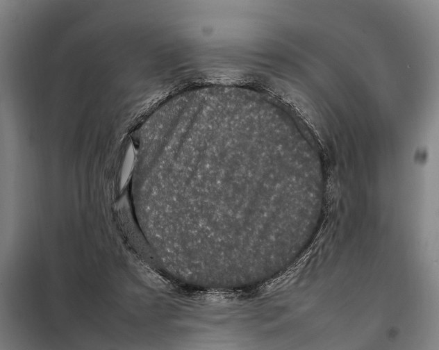 X0000098000305200804211138