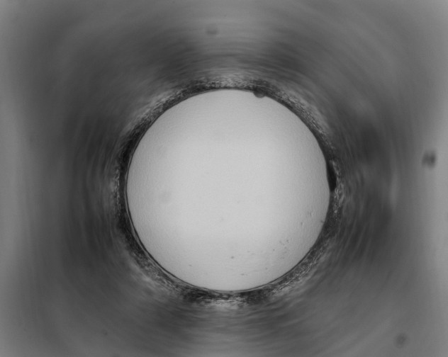 X0000098000306200804211138