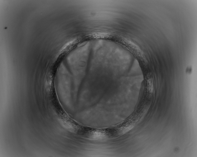 X0000098000308200804211138