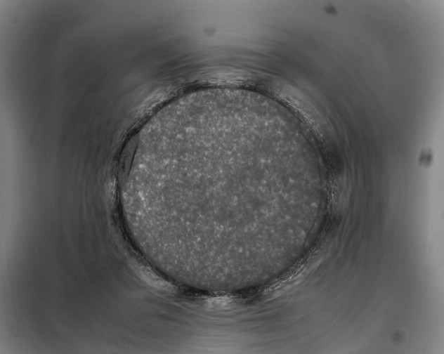 X0000098000309200804211138