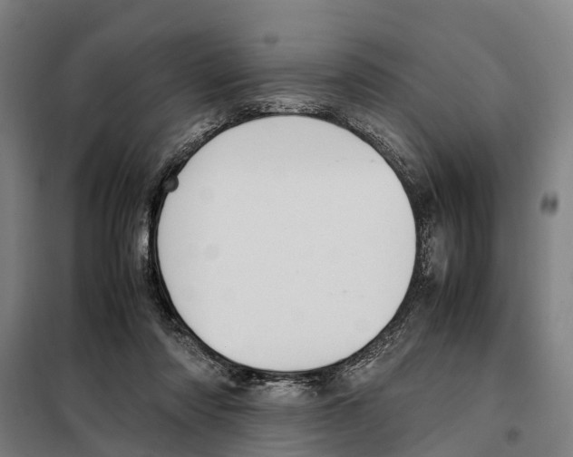 X0000098000310200804211138