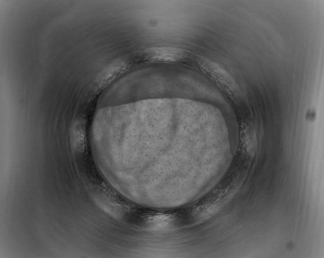 X0000098000312200804211138