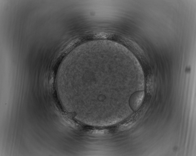 X0000098000314200804211138
