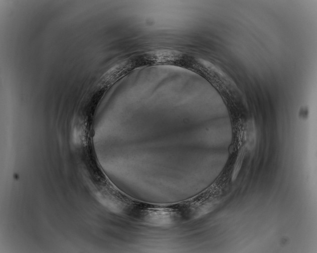 X0000098000316200804211138
