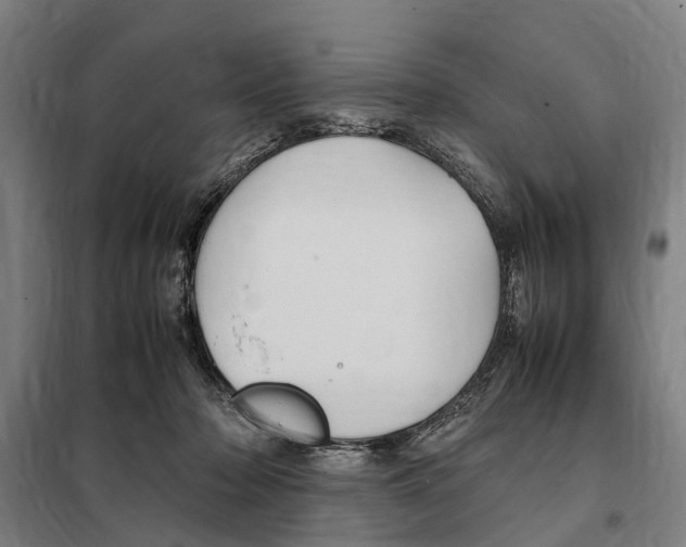 X0000098000318200804211138